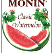 Load image into Gallery viewer, Classic Watermelon Syrup