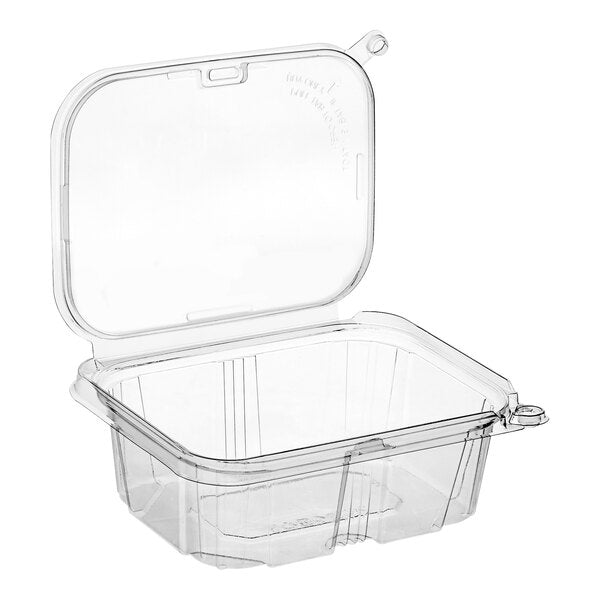 Plastic Rectangular Container with Hinged Flat Lid
