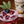Load image into Gallery viewer, Blackberry Sangria Mix
