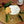 Load image into Gallery viewer, Gingerbread Syrup
