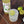 Load image into Gallery viewer, Lime Syrup
